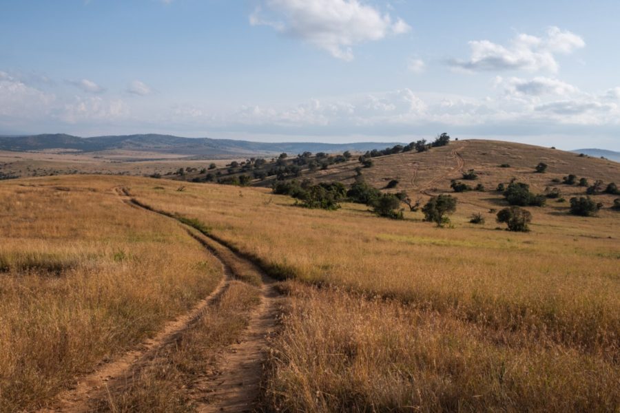 Zimbabwean landscape