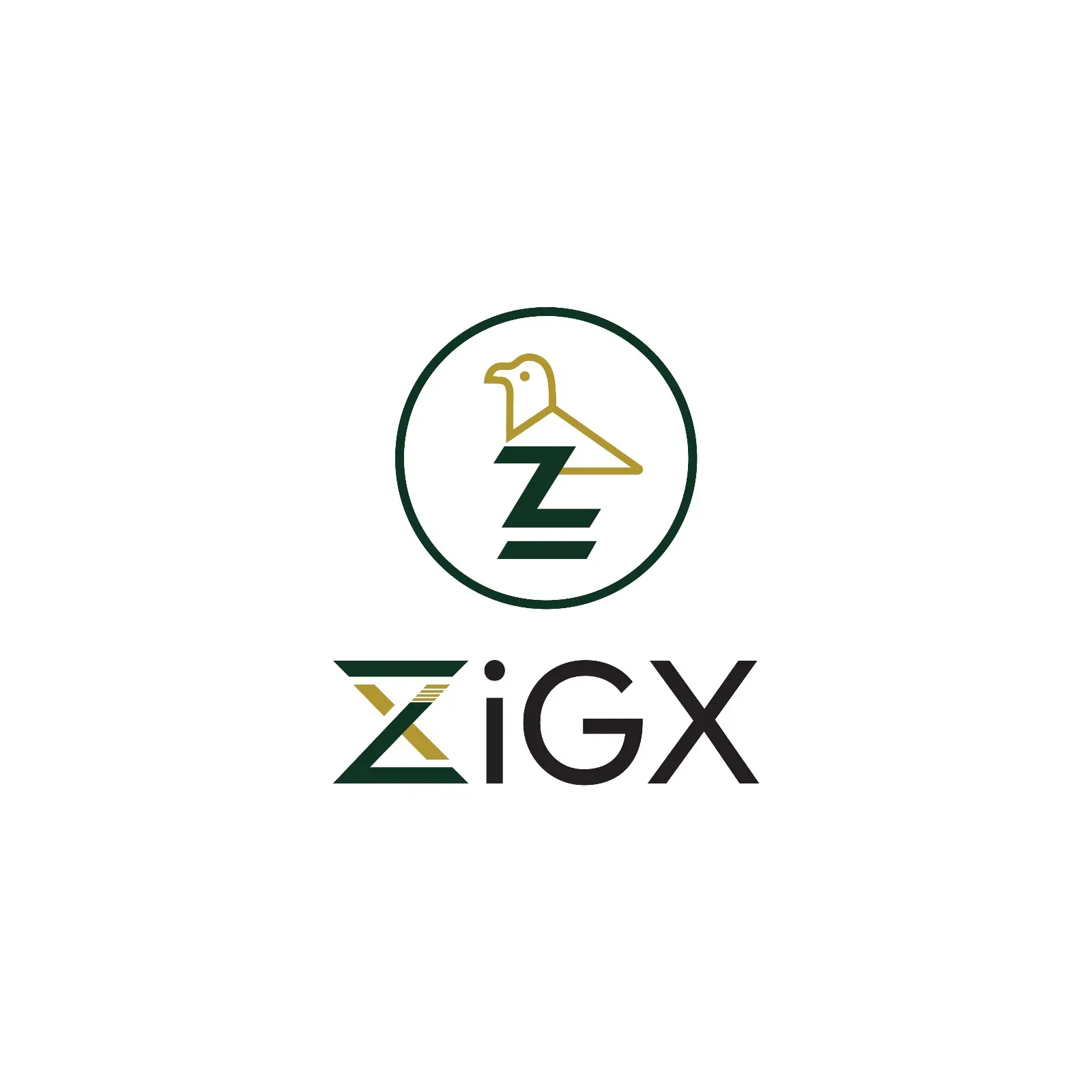 ZiGX logo